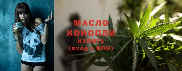 молекула духа Ладушкин