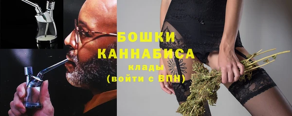 молекула духа Ладушкин