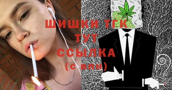 крисы Лагань