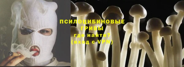 молекула духа Ладушкин