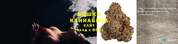 молекула духа Ладушкин