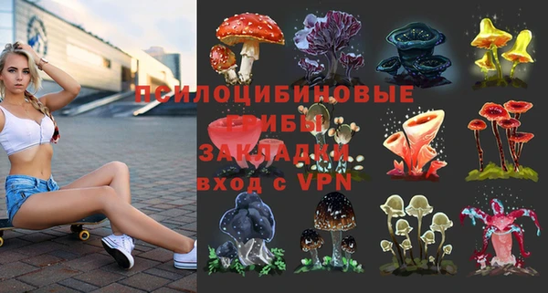 apvp Лабытнанги