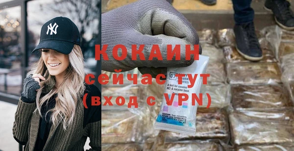 молекула духа Ладушкин