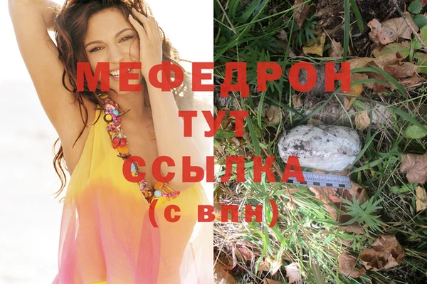 молекула духа Ладушкин