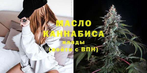 молекула духа Ладушкин