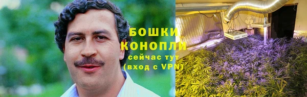 молекула духа Ладушкин