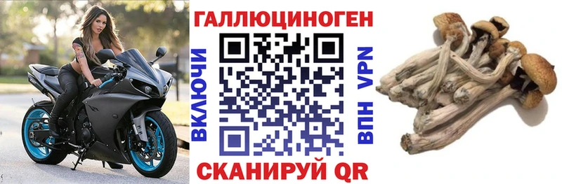 Галлюциногенные грибы прущие грибы  Подольск 