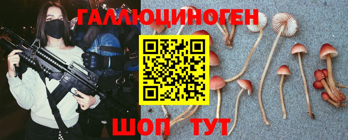 Подольск  Галлюциногенные грибы Psilocybe  Вход с VPN 