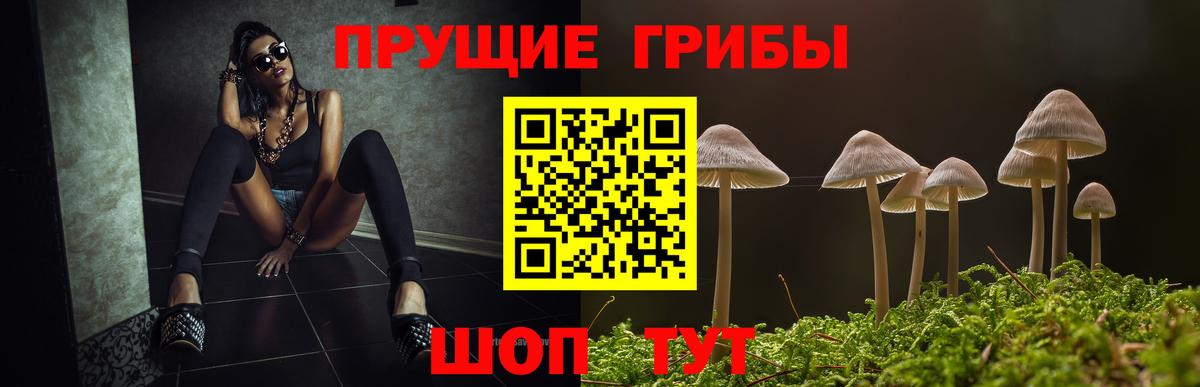 Галлюциногенные грибы прущие грибы Подольск